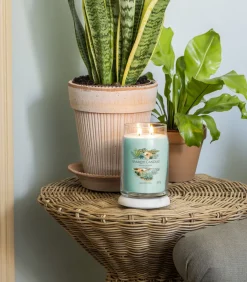 Yankee Candle Geurkaars Aloe & Agave Signature Large Jar