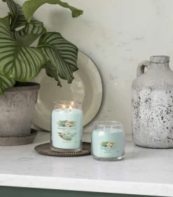 Hot Geurkaars Aloe & Agave Signature Medium Jar Kaarsen & Kaarshouders