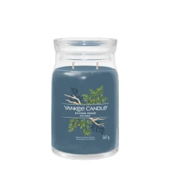 Geurkaars Bayside Cedar Signature Large Jar Kaarsen & Kaarshouders