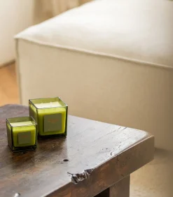 Online Geurkaars 220g Forest Gallery Kaarsen & Kaarshouders