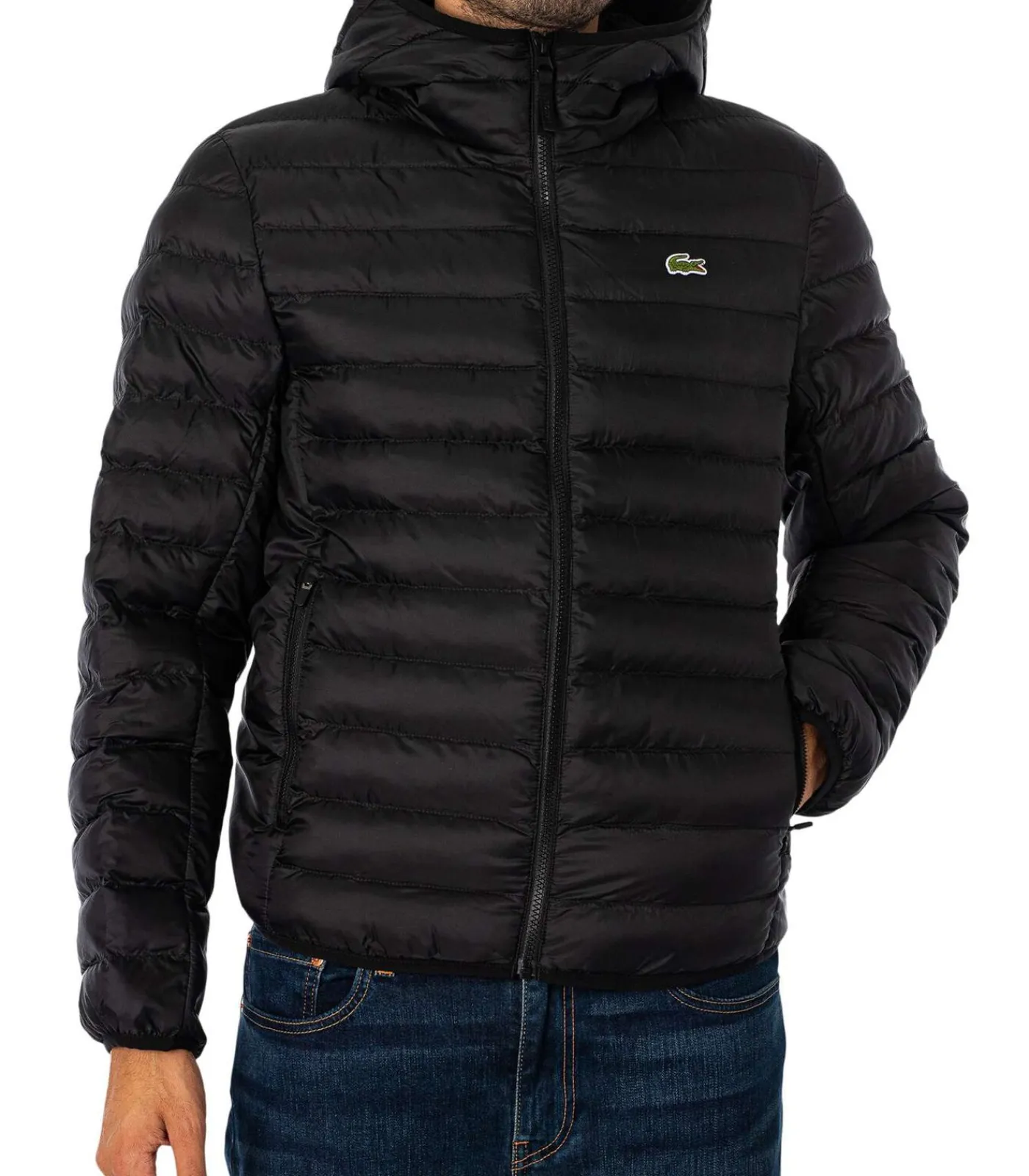 Heren LACOSTE Gewatteerde Gewatteerde Jas