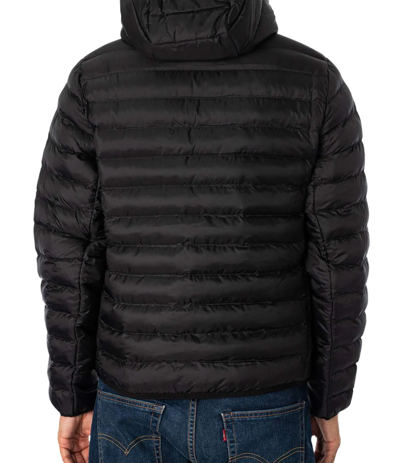 Heren LACOSTE Gewatteerde Gewatteerde Jas