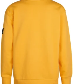 Kinderen Petrol Industries Grafische Sweater Allegheny