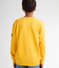 Kinderen Petrol Industries Grafische Sweater Allegheny