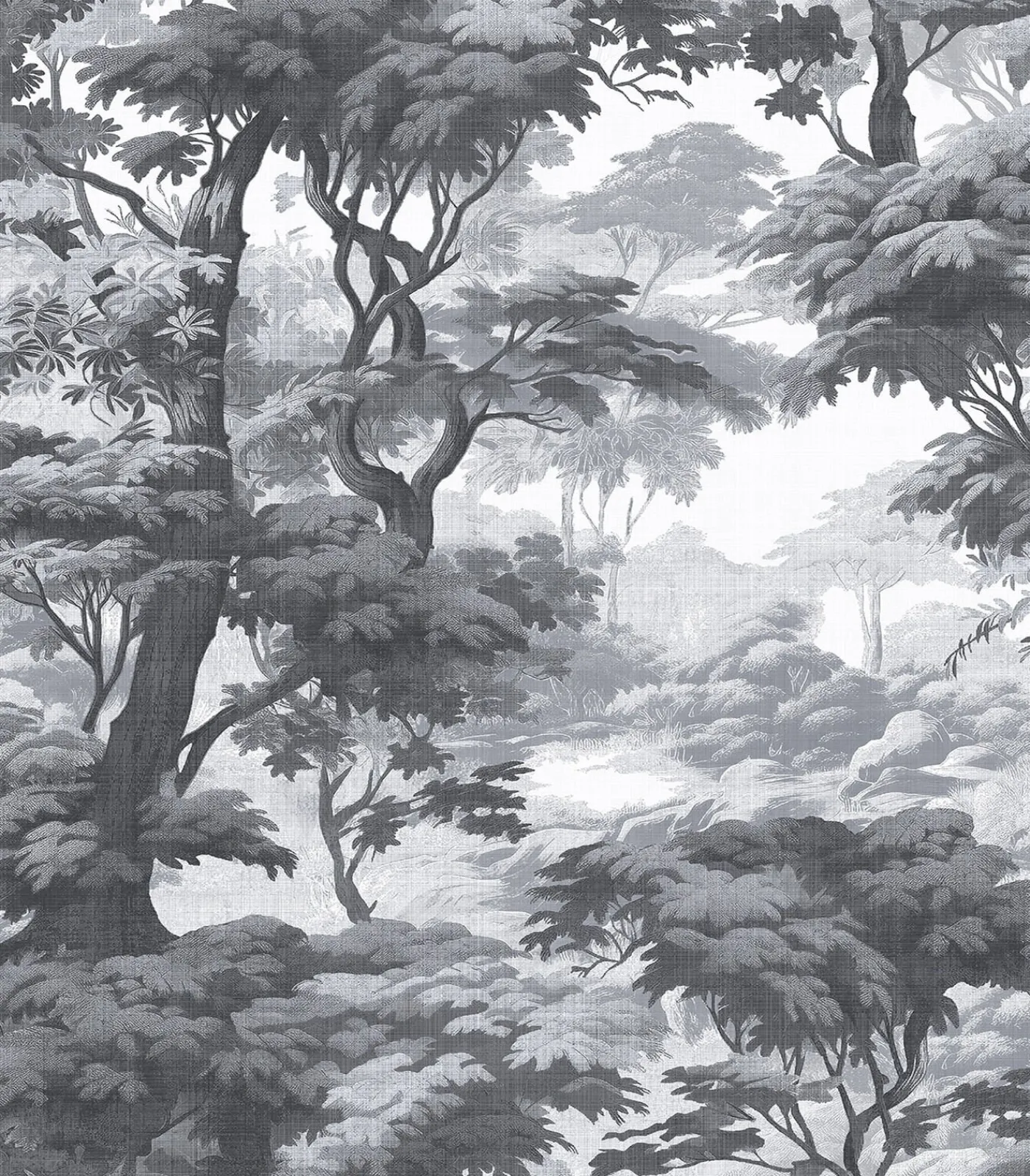 Graham & Brown Vliesbehang Bobart's Garden Monochrome