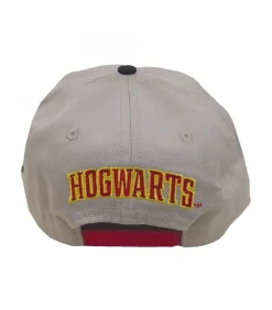 Hot GRYFFINDOR - Kap - Anthraciet Grijs Heren Hoeden & Petten