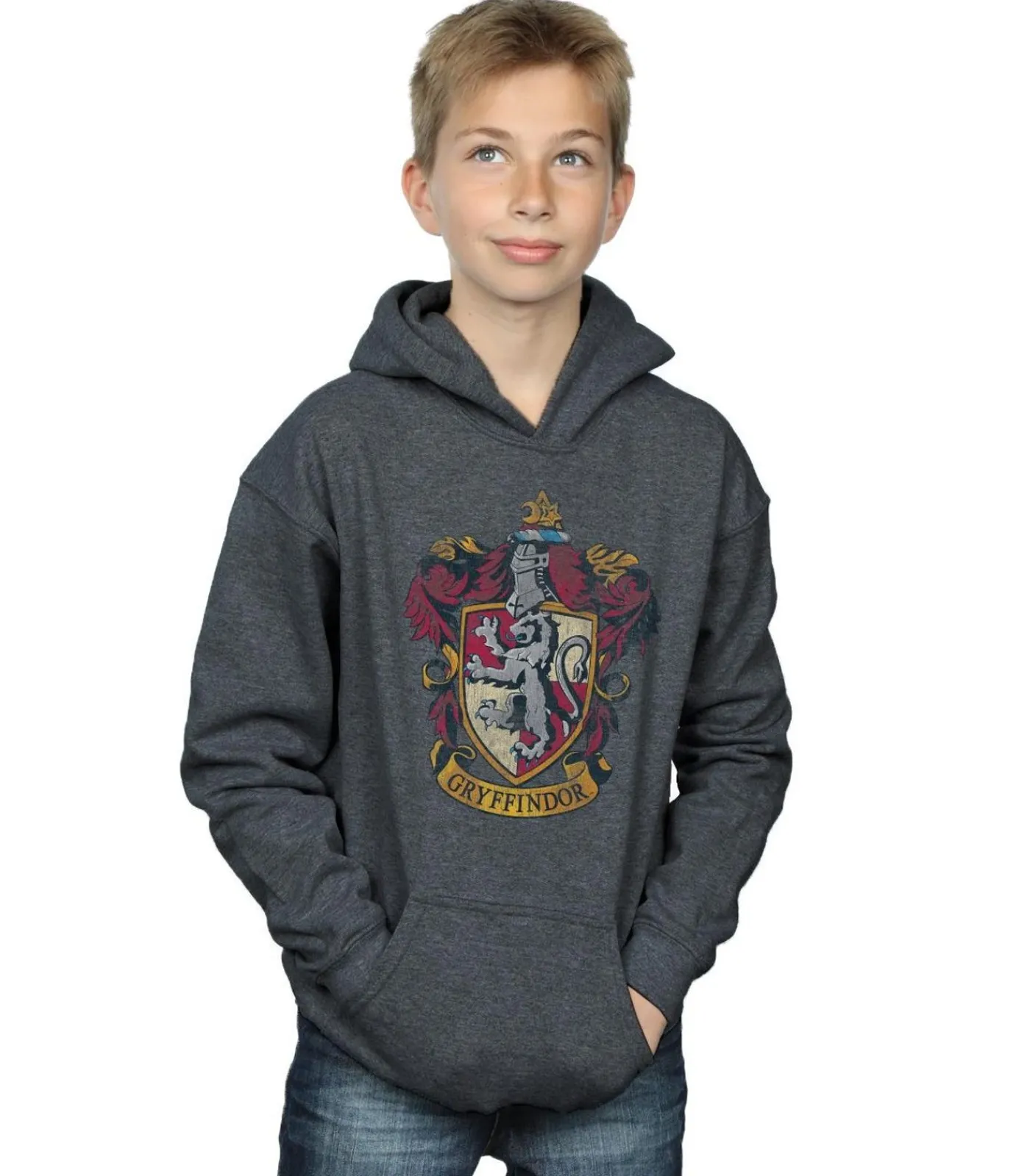 Outlet GRYFFINDOR - Trui met kap - Anthraciet Grijs Kinderen Truien & Vesten