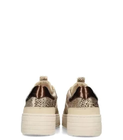 DAMES Haboob AURELIE Dames Sneaker