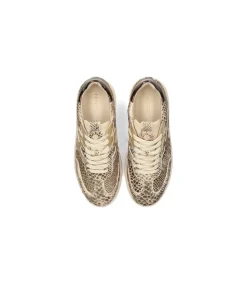 DAMES Haboob AURELIE Dames Sneaker