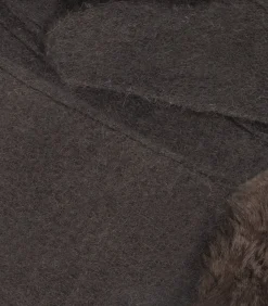 DAMES ISOTONER Handschoenen voor dames met touchscreen, wol Bruin