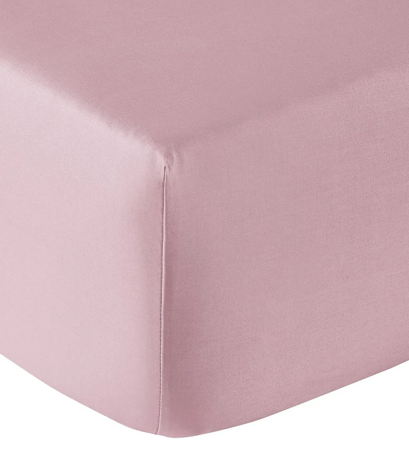 HoesLaken | Vexin · Violine Hoeslakens