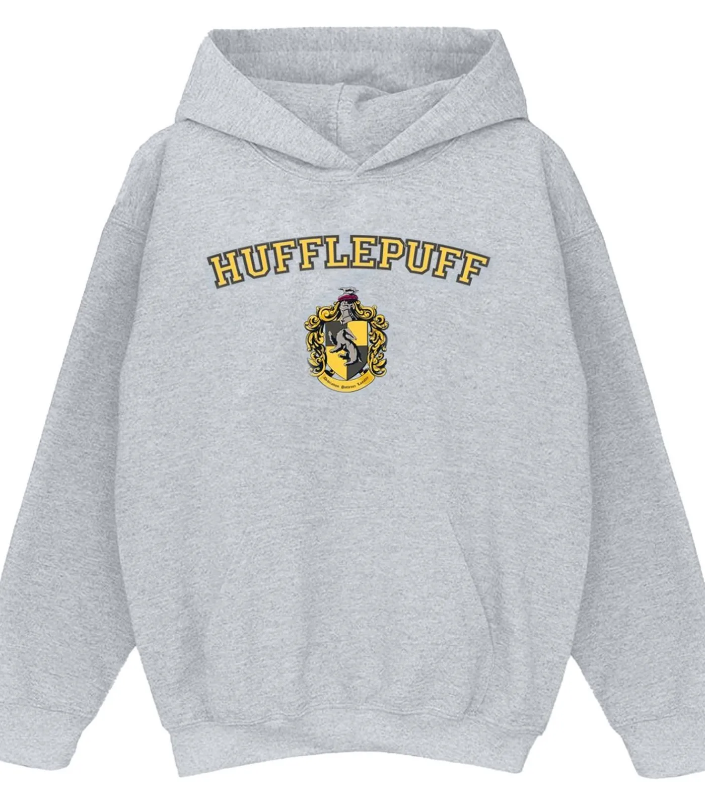 Kinderen HARRY POTTER HUFFLEPUFF - Trui met kap - Grijs