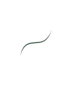 L'Oréal Paris Infaillible Micro Fine Eyeliner Potlood - 05 Vert Sauge
