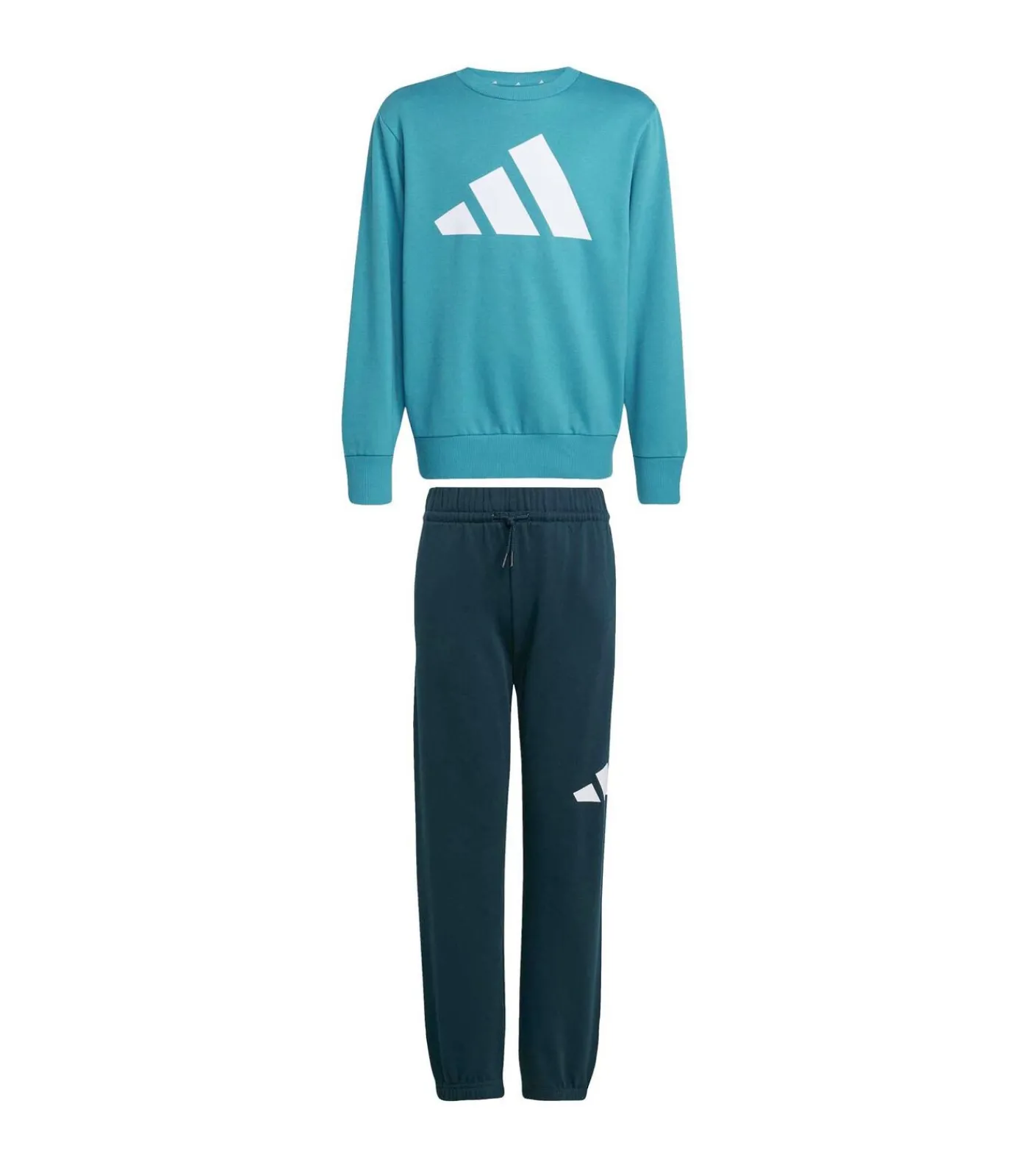 Kinderen Adidas Sportswear J Bl Fl Jog 240
