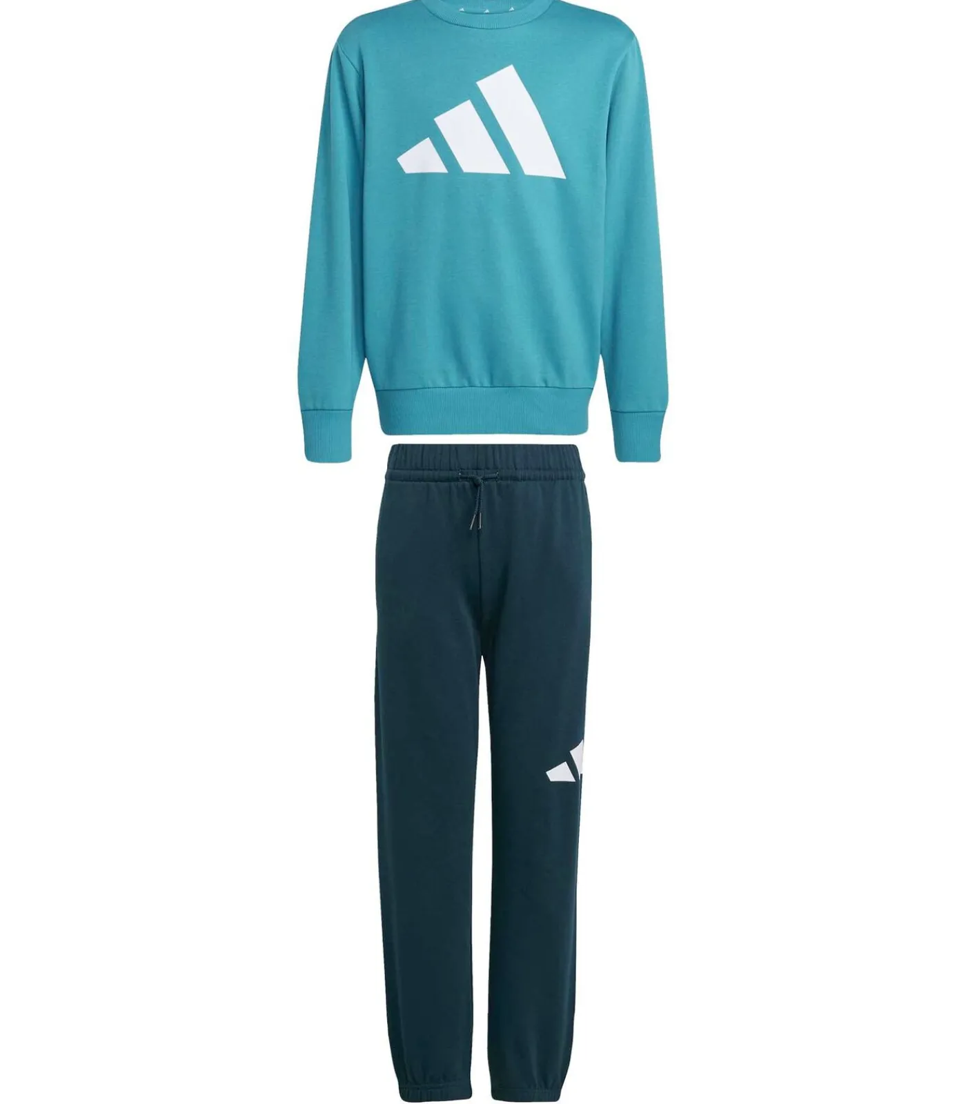 Kinderen Adidas Sportswear J Bl Fl Jog 240