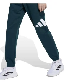 Kinderen Adidas Sportswear J Bl Fl Jog 240