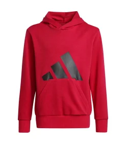 Kinderen Adidas Sportswear J Bl Ft Hd 280
