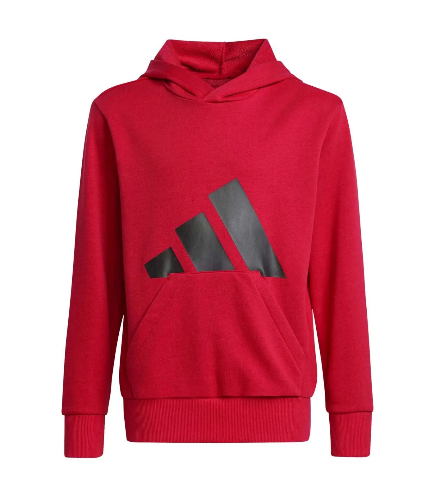Kinderen Adidas Sportswear J Bl Ft Hd 280