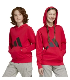 Kinderen Adidas Sportswear J Bl Ft Hd 280