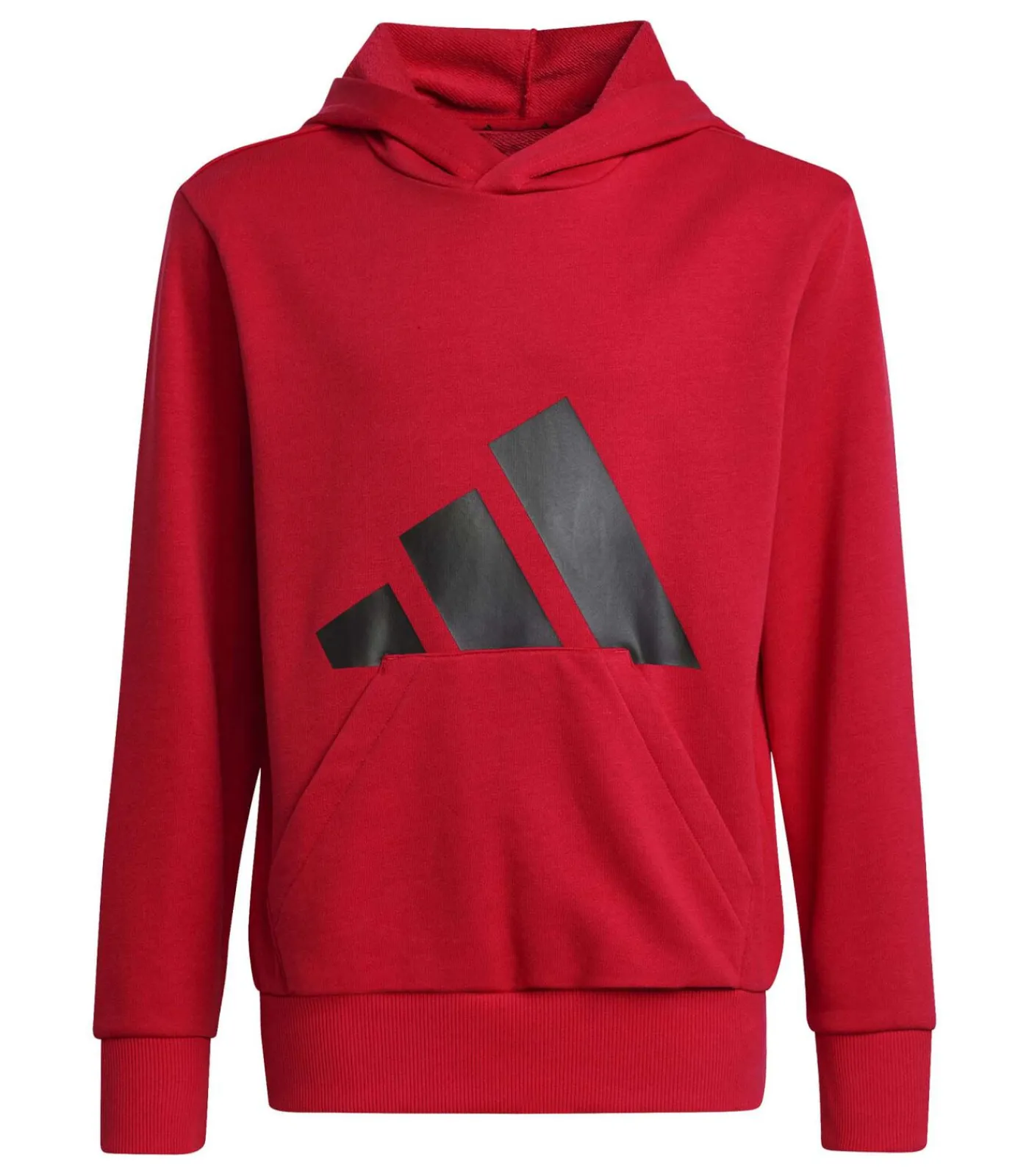 Kinderen Adidas Sportswear J Bl Ft Hd 280