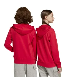 Kinderen Adidas Sportswear J Bl Ft Hd 280