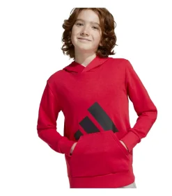 Kinderen Adidas Sportswear J Bl Ft Hd 280