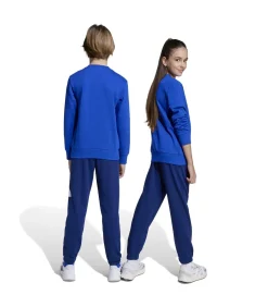 Kinderen Adidas Sportswear J Bl Ft Jog 240