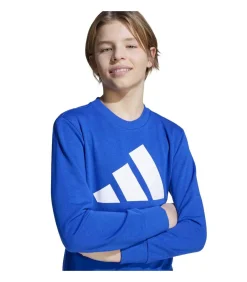 Kinderen Adidas Sportswear J Bl Ft Jog 240