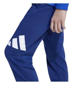 Kinderen Adidas Sportswear J Bl Ft Jog 240