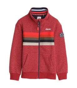 Discount Jongenssweater met veelkleurige streep en rits Kinderen Truien & Vesten