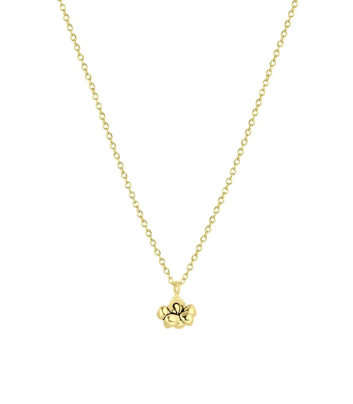 DAMES Lucardi Ketting Zilver 45 cm - Zilverkleurig