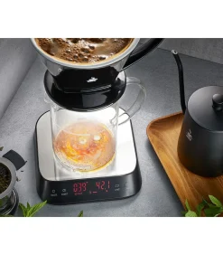 Gefu Keukenweegschaal Preziso