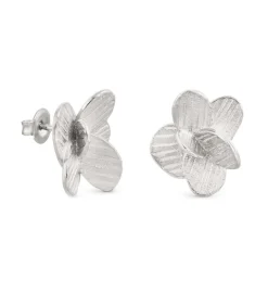 DAMES Joidart Kleine zilveren oorbellen Pampalonia