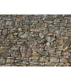 Komar Fotobehang Stone Wall 368x254 cm 8-727