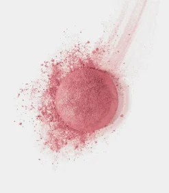 Clearance Little Round Pot Poeder Blush - 95 Rose de Jaspe Teint
