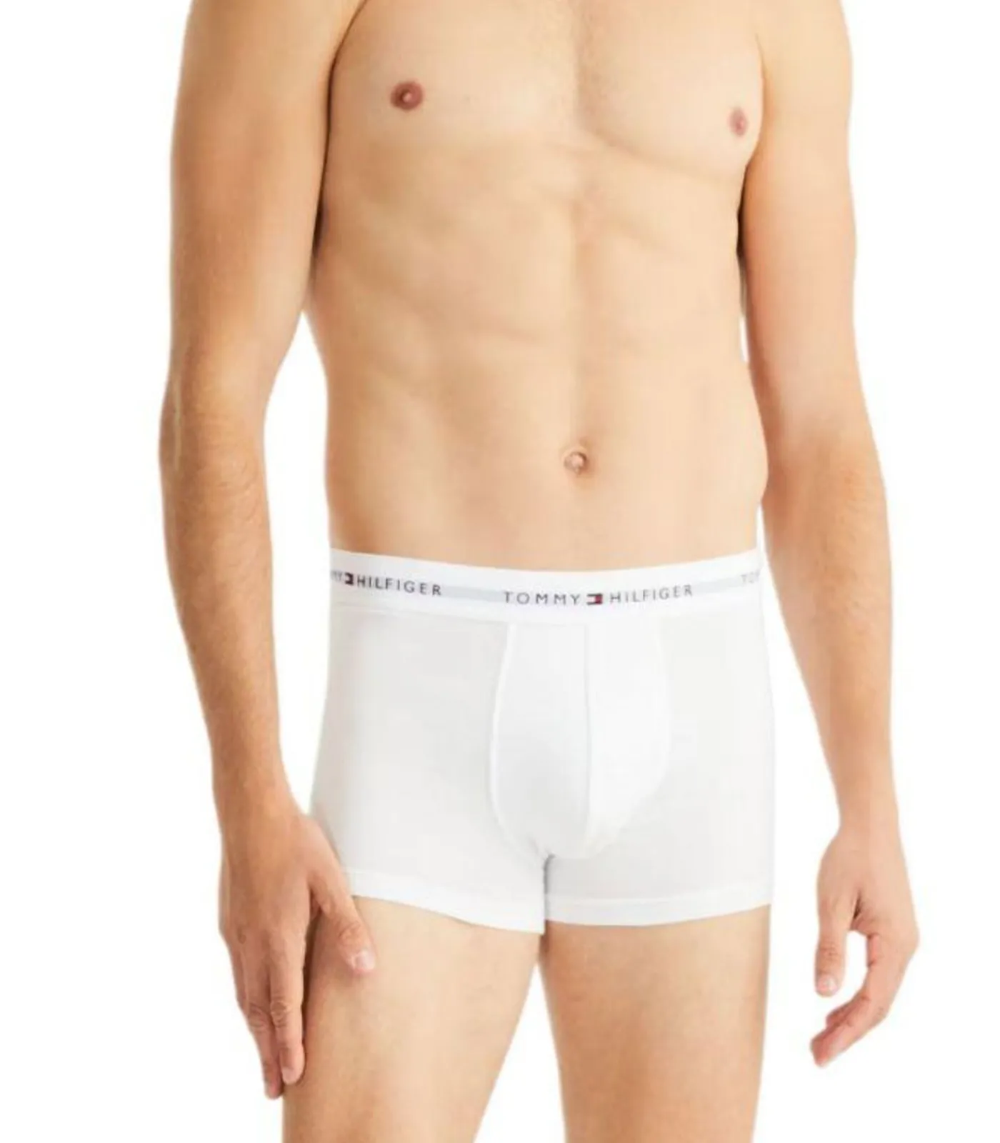 Heren Tommy Hilfiger LOGO - Korte Broek - Zwart