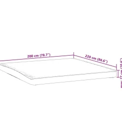 vidaXL Matrasbeschermer waterdicht 200x220 cm wit