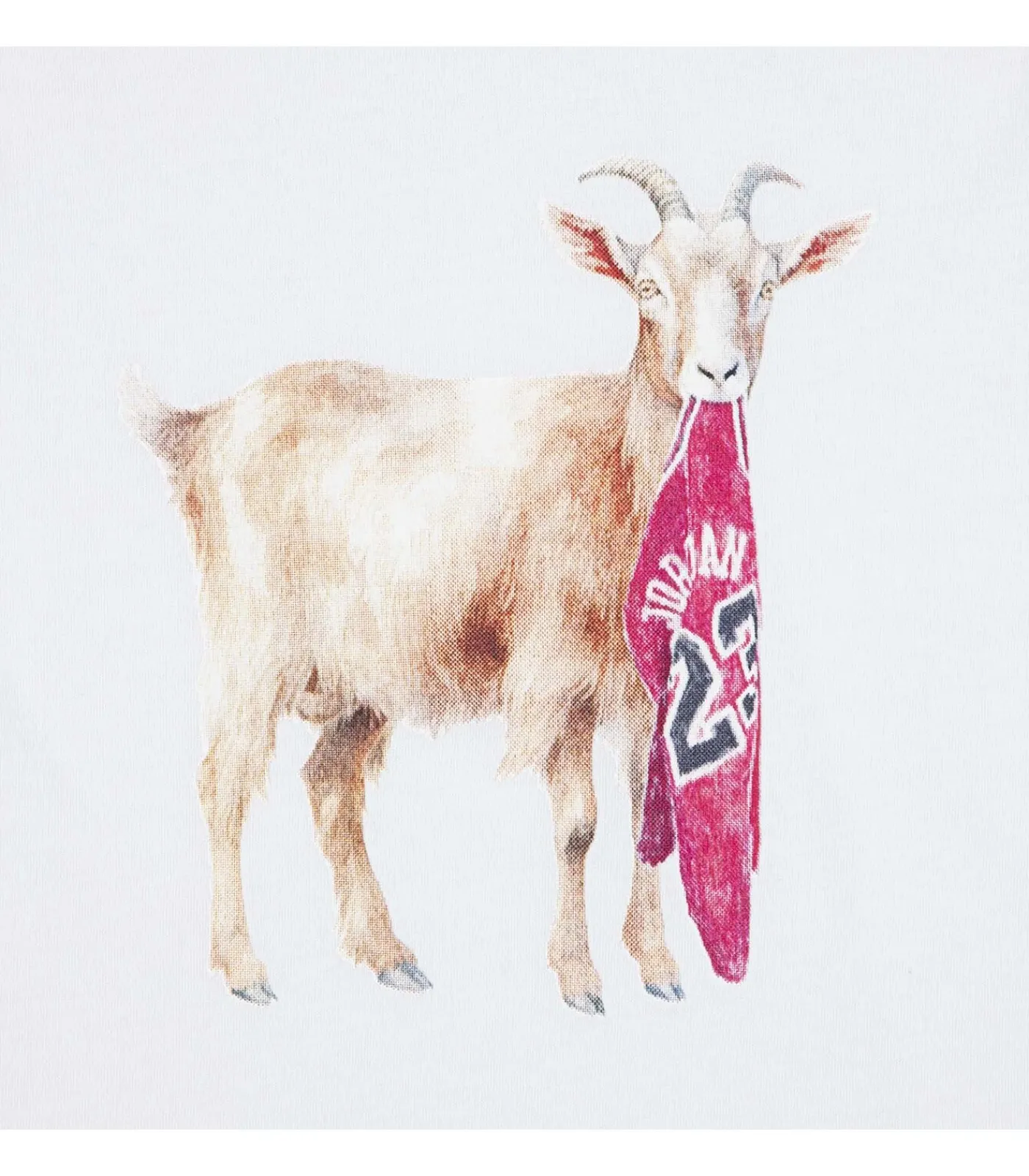 New Mj Flt Goat Ss Crew Kinderen Truien & Vesten