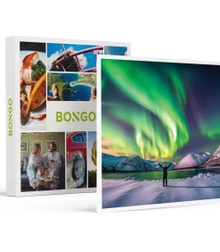 Best Noorderlicht en Blue Lagoon tijdens een 4-daagse in IJsland - Overnachten Geschenken