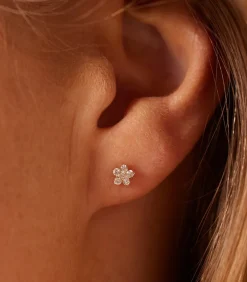 DAMES Lucardi Oorbellen 14 Karaat Goud