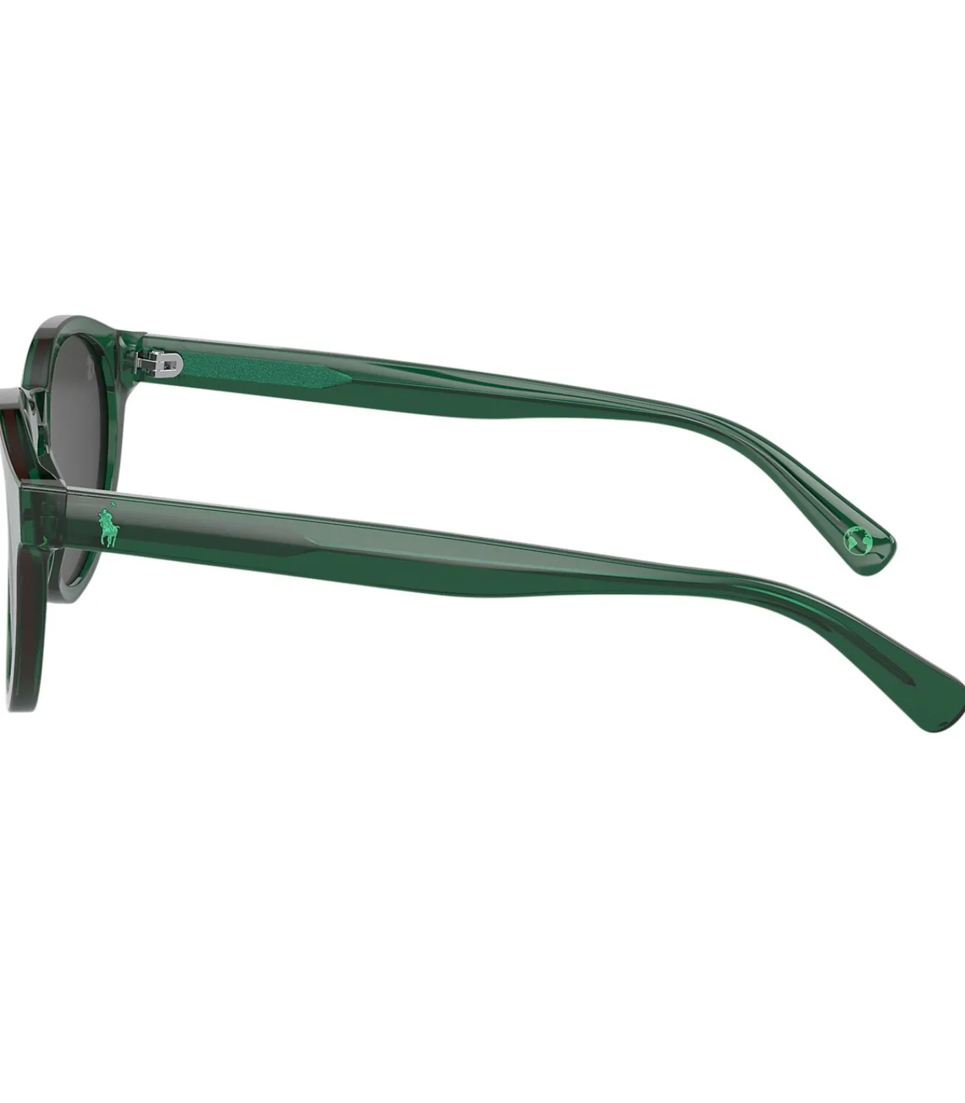 Heren Polo Ralph Lauren 0PH4192 Ronde Zonnebril