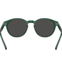 Heren Polo Ralph Lauren 0PH4192 Ronde Zonnebril