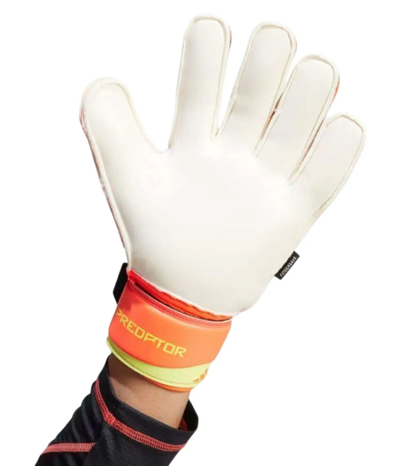 Heren Adidas PREDATOR - Handschoenen - Zwart