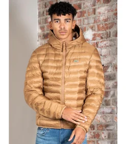 Heren LACOSTE Puffer jacket - dark tate