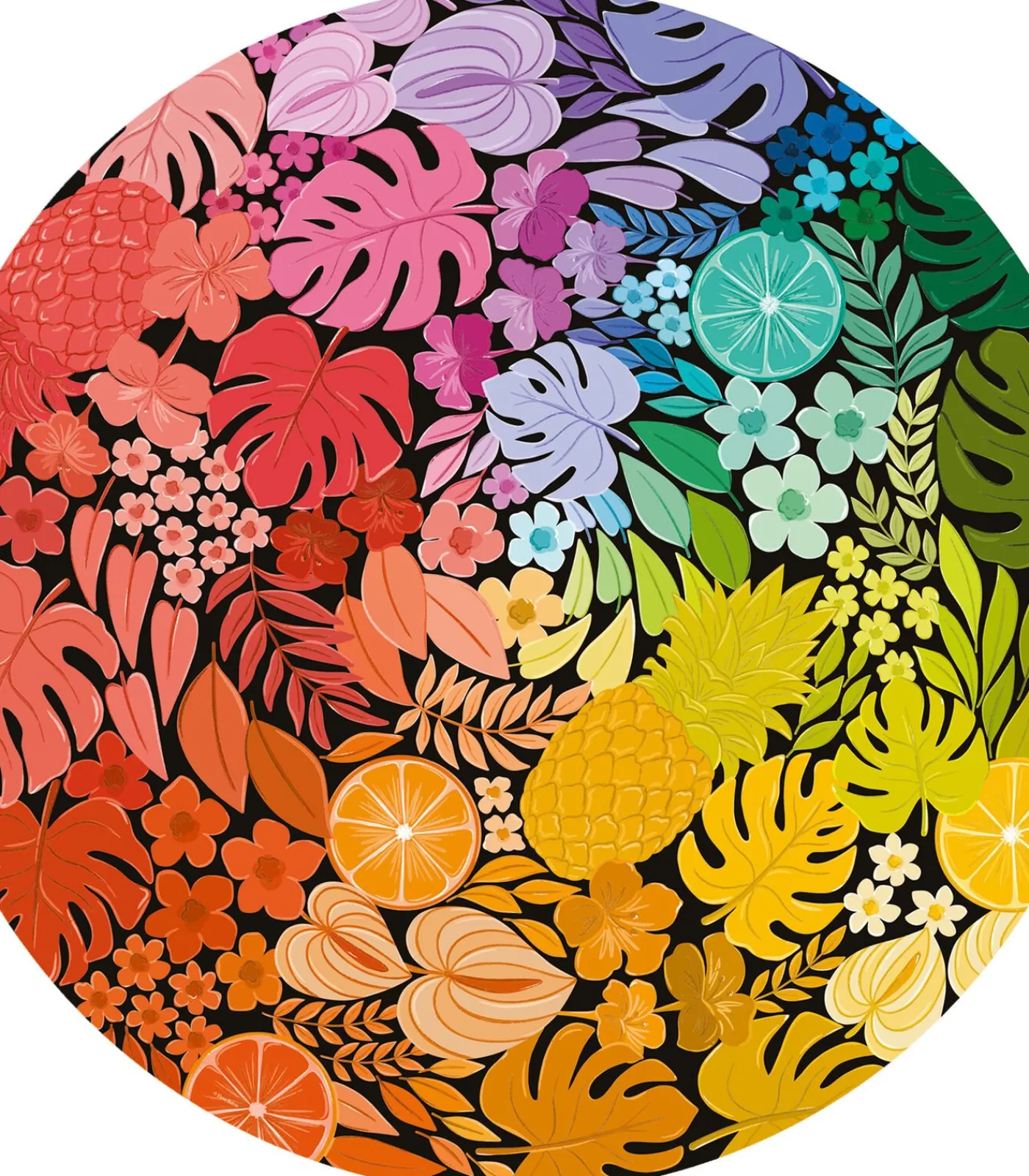 Kinderen Ravensburger puzzel - Circle of Colors Tropical - 500 stukjes legpuzzel