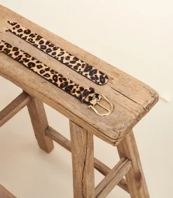 DAMES La Fée Maraboutée Riem van leer