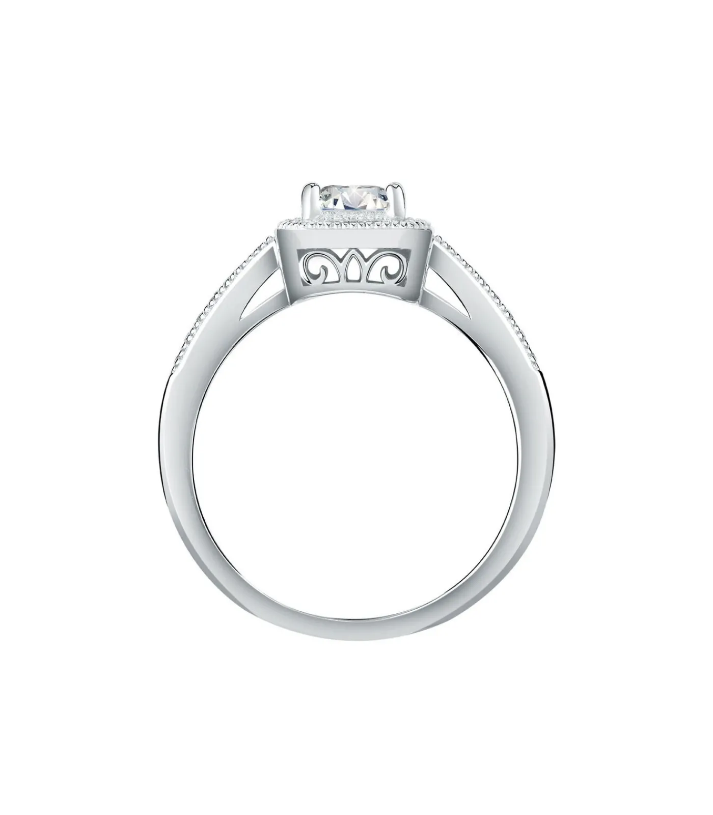 Ring B-CLASSIC DAMES Ringen