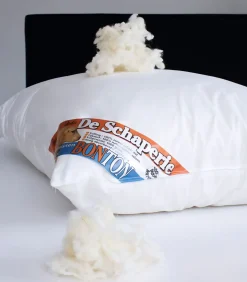 Outlet Schaperie Hoofdkussens - Set van 2 stuks Kussens