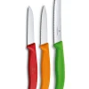 Victorinox Schilmessenset Fresh - 3-Delig