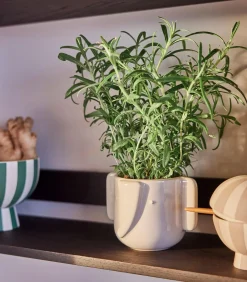 OYOY Snoepdoos van steengoed